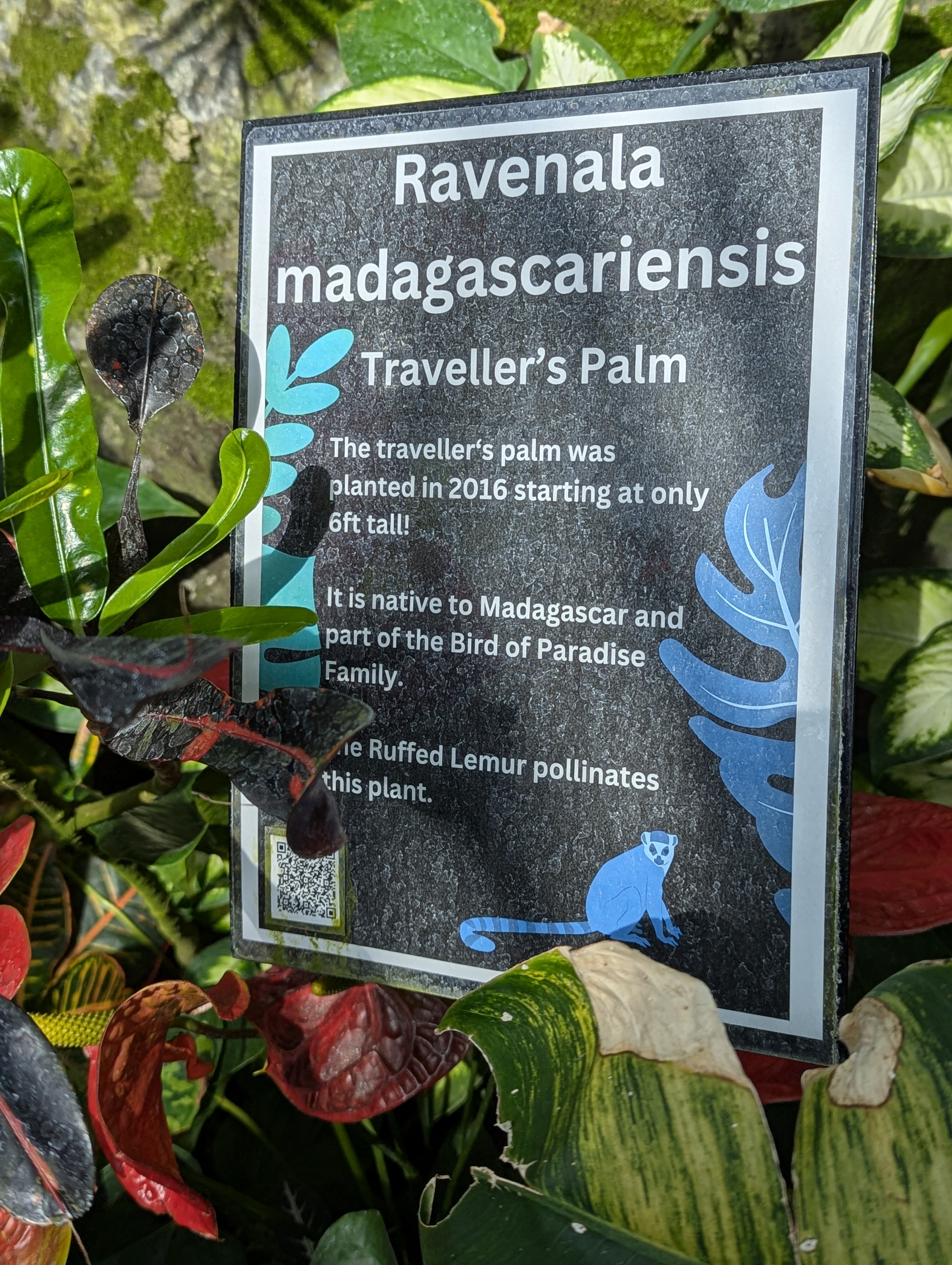 Birthday Trip to Canada, Edmonton, Pyramids, Muttart Observatory